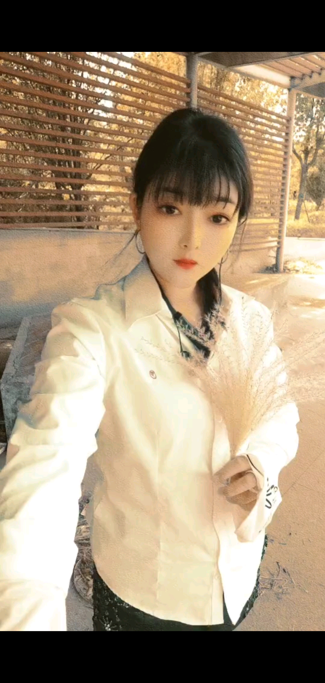 感恩时光不弃，感恩美