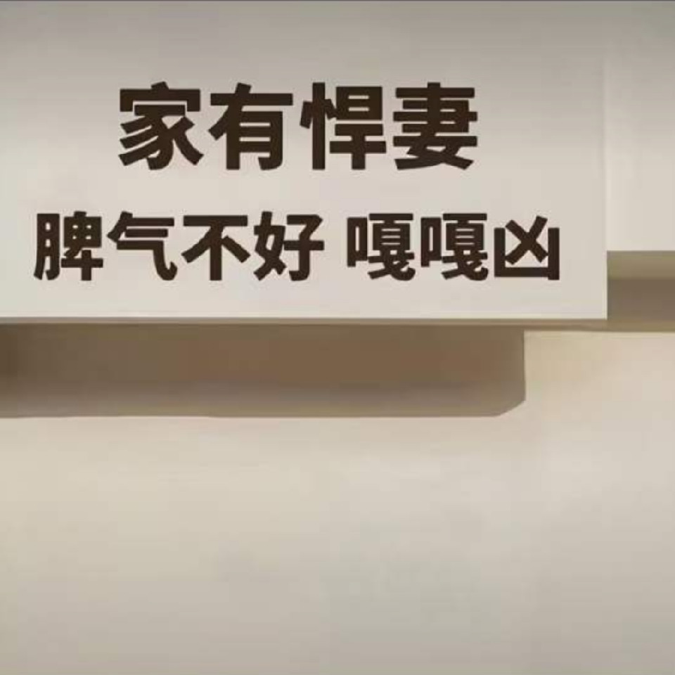 来自维也纳的椋鸟海报