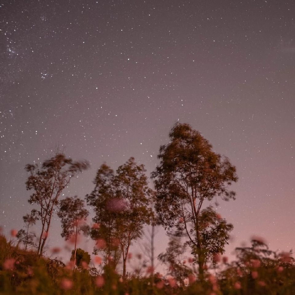 夜星子炎海报