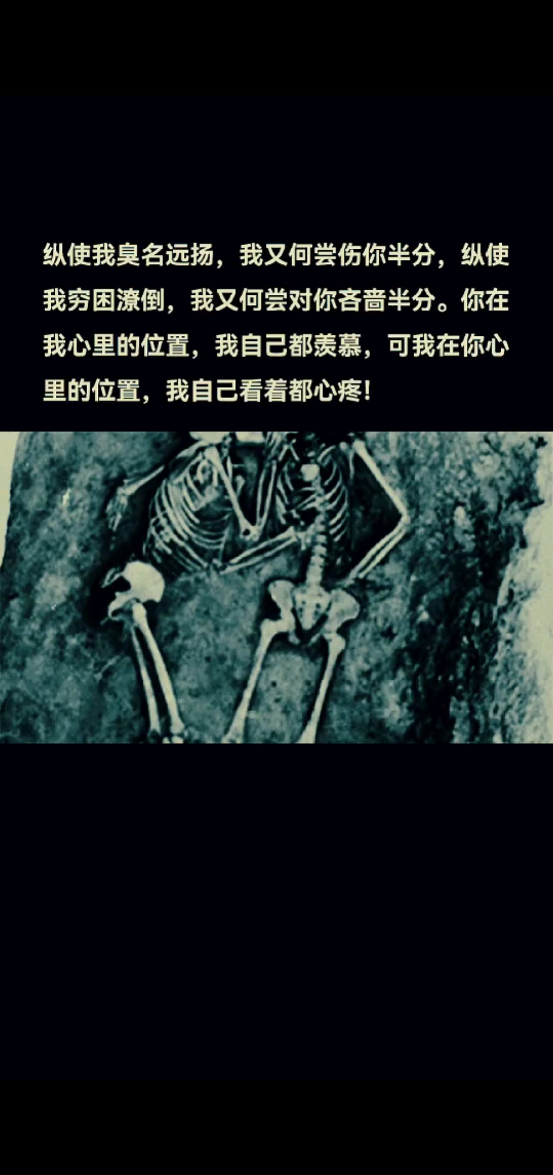 纵使我千般不好，可曾