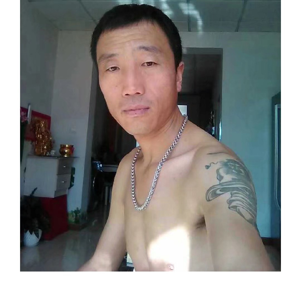 来自苏黎世的凤蝶海报