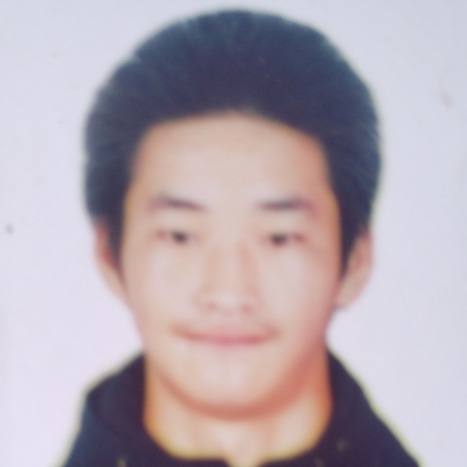 管松林海报