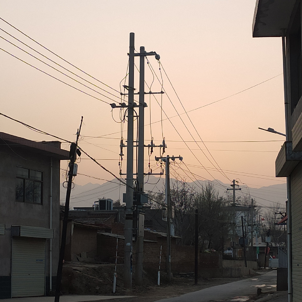 胖胖义博海报