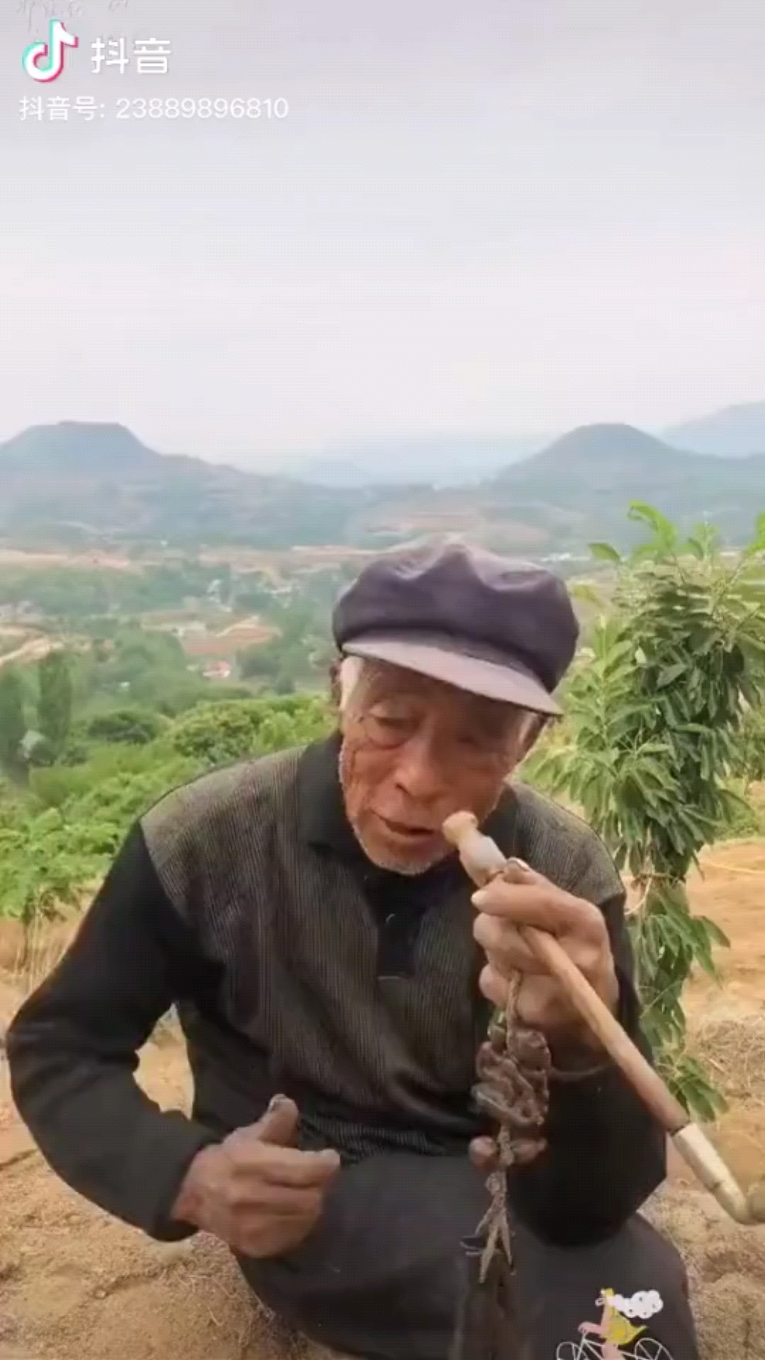 斜依栏，吞云雾半入清