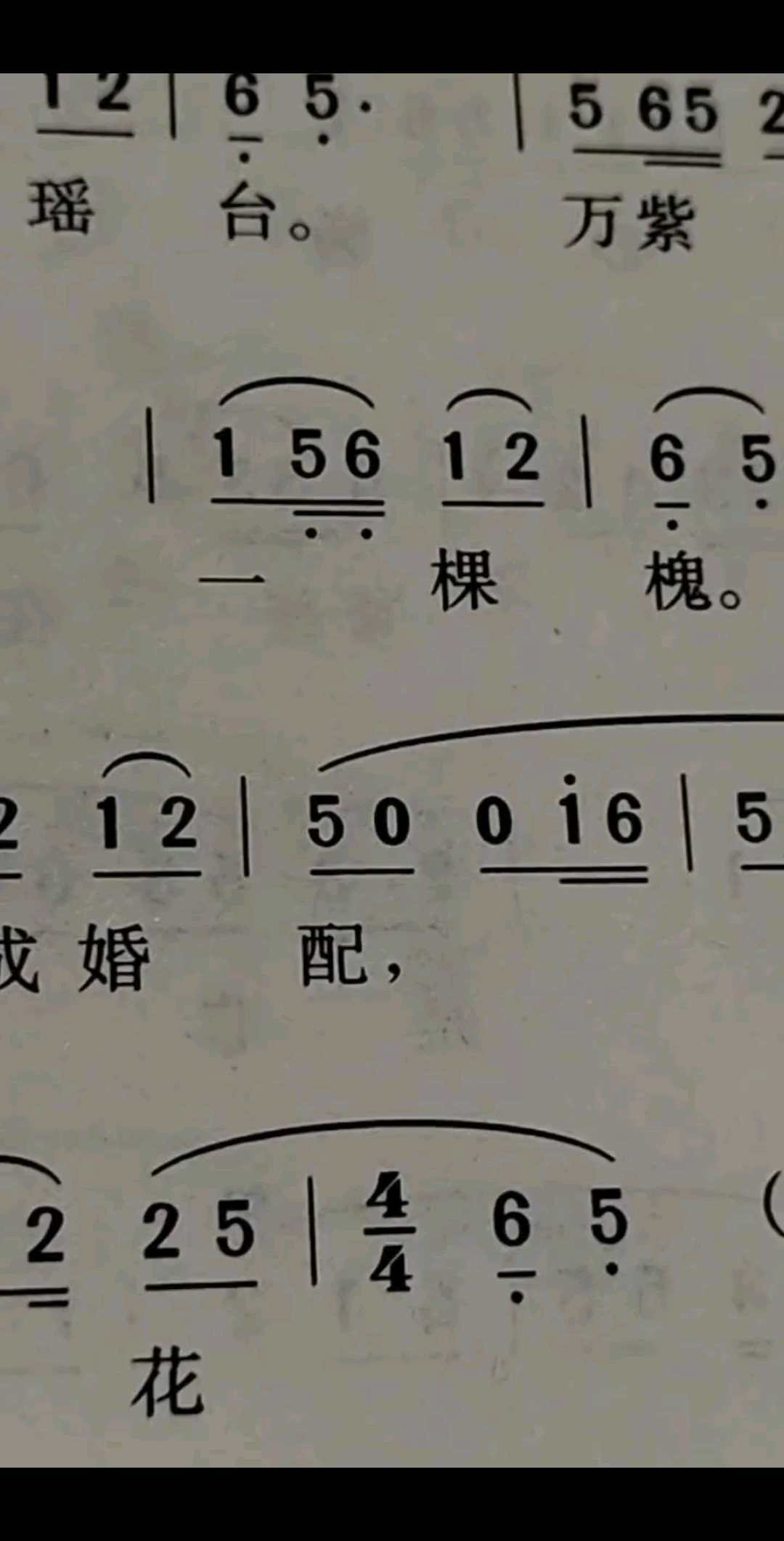 神仙岁月我不爱4