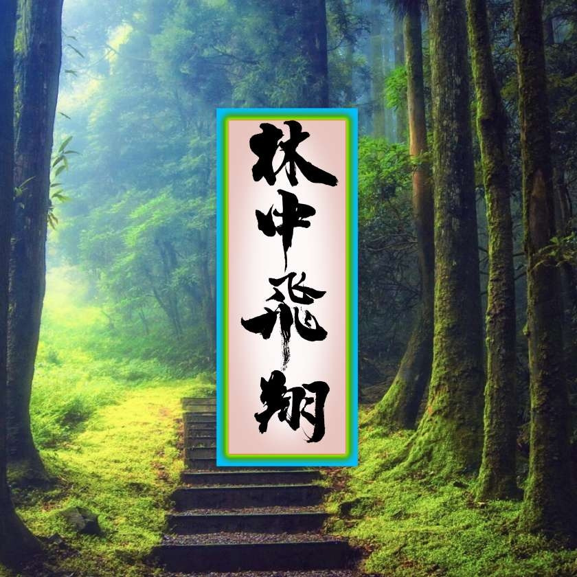 ◎林中飞翔海报