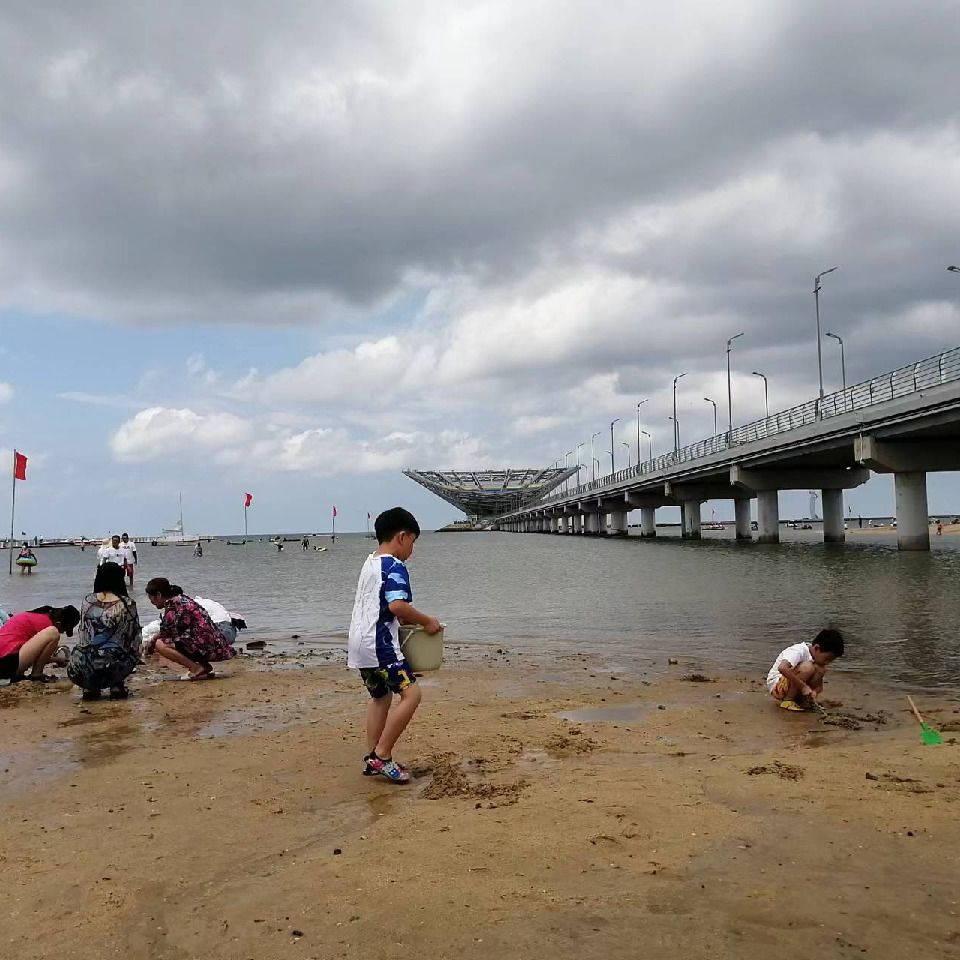 辽宁的打工仔海报