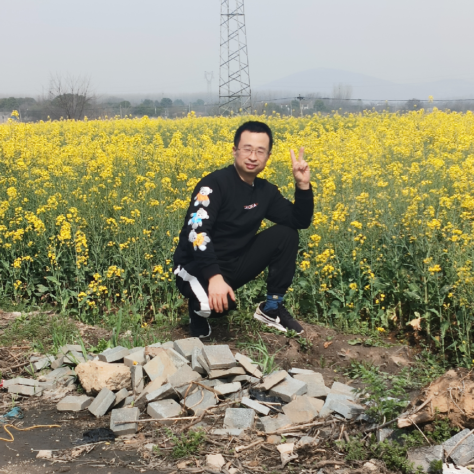 文森张亮海报