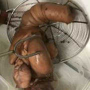 胡萝卜片片片有眼海报