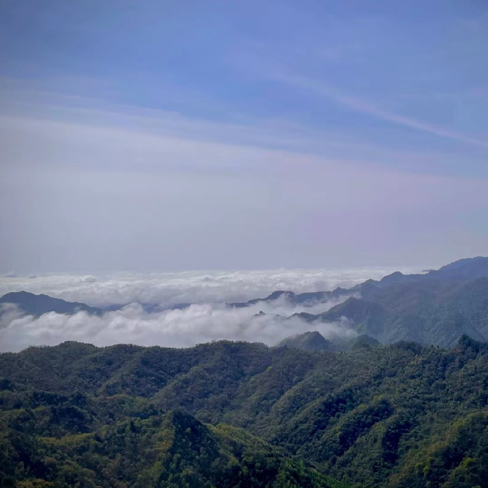 得梦鹿鱼海报