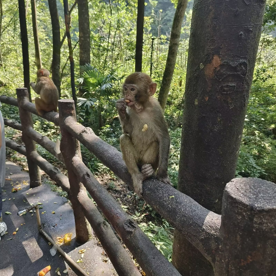 貪色莫貪杯海报