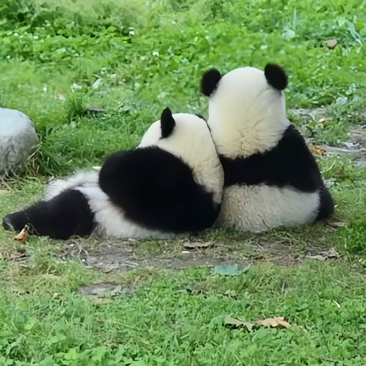 鲁。和煦的风海报