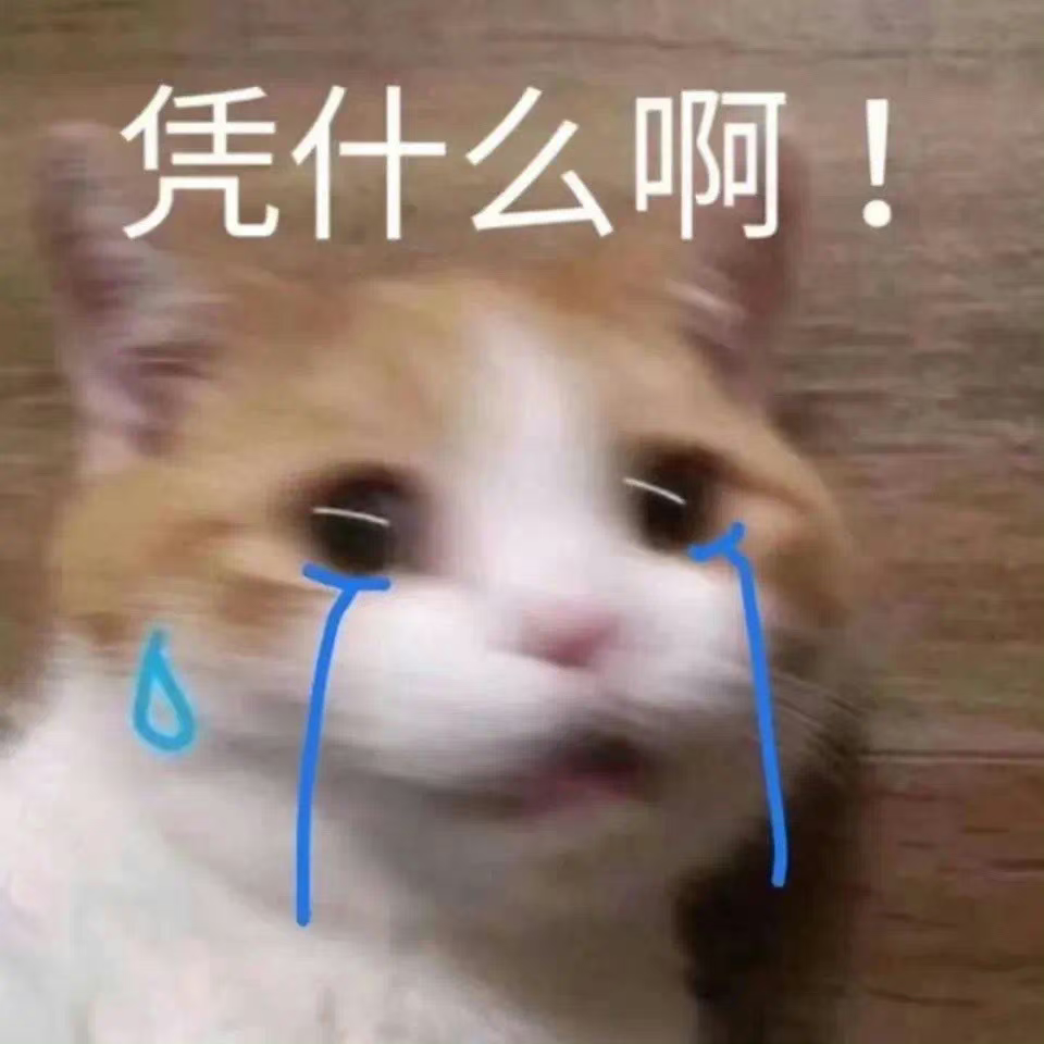 小阿喵🥺海报