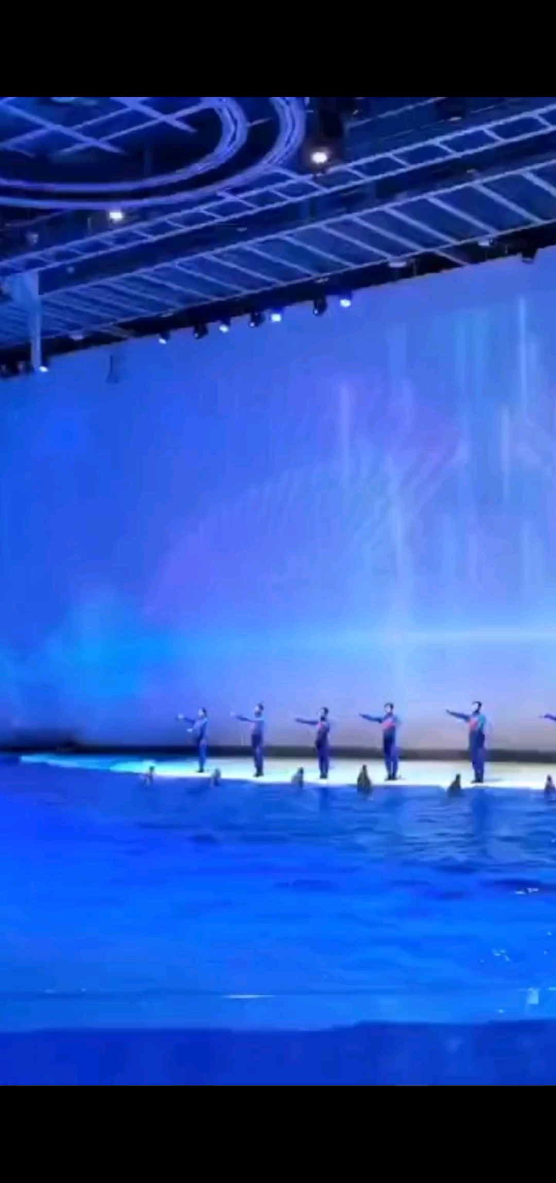 上海海昌公园。