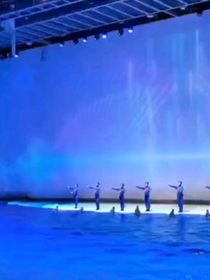 上海海昌公园。