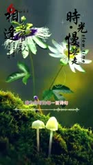 圆圆天际