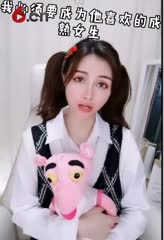 顽皮豹