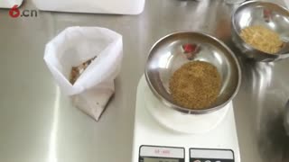 山东杂粮煎饼制作视频，新手摊杂粮煎饼视频
