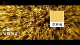 《最美中国色｜三分钟回眸辉煌70年之现代农业篇》