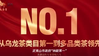 茶叶虽轻、责任尤重 八马茶业乌龙茶两大原产地茶企“纳税第一”