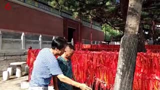 北京景区仿石仿木仿树培训现场-洪亮景校大师课
