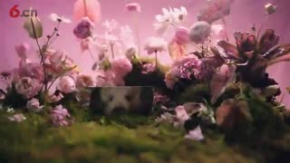 完美日记携手Troye Sivan 跨界传递“美不设限”品牌主张