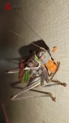 给我一生的陪伴