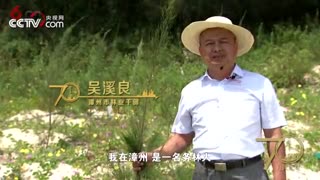 【70年70城】记住漳州！在这里，被称为“中国水仙花之乡”