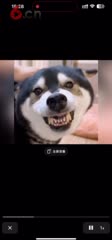 新品类主播