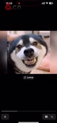 新品类主播